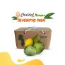 Himshagor Mango – 3 Kg ৳239  – Chaldal Offer
