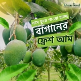 Himsagar Mango – Khashfood – ৳105 Per Kg